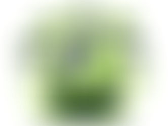 Top Cybersecurity Best Practices Every Organization Should Follow