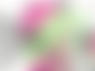 KI-gestütztes, kriterienbasiertes Feedback zu studentischen Seminararbeiten in der Ausbildung von Lehrpersonen 
