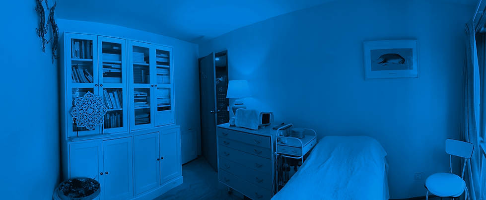 Mums room 1 BLUED (1).png