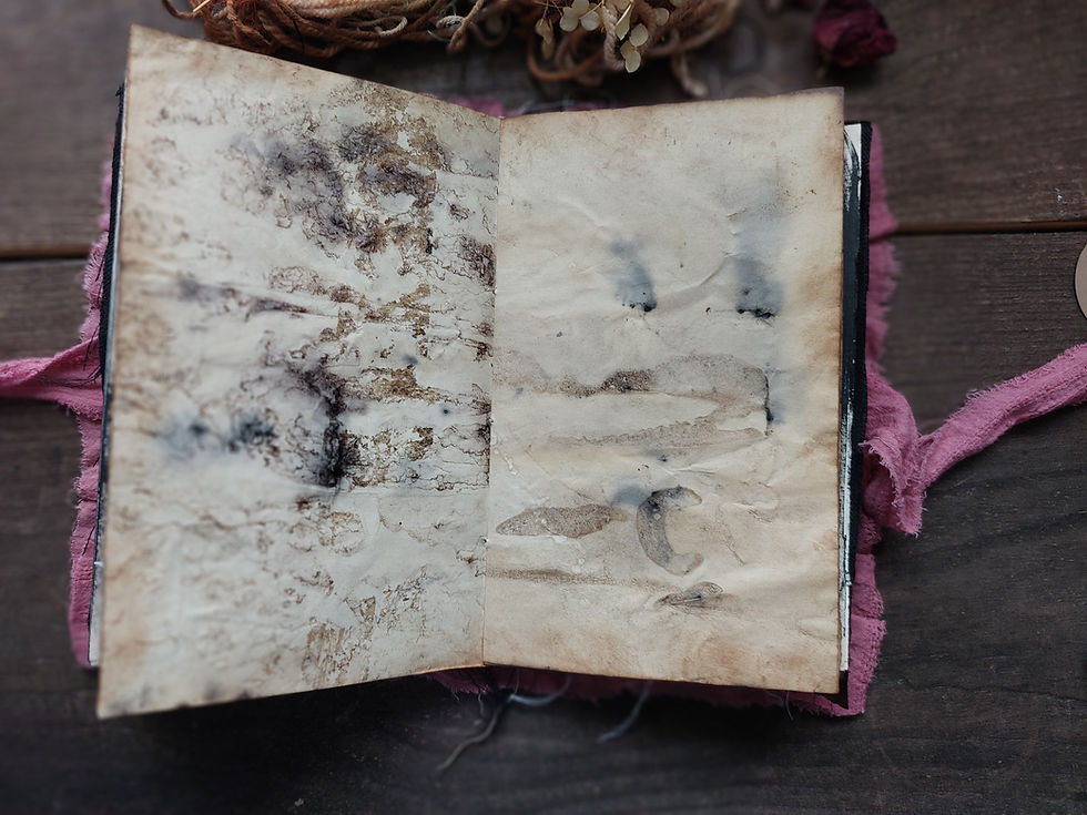 Thumbnail: N2 "Vintage petal notes" blank junk journal.