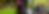 homepage-banner-new.png