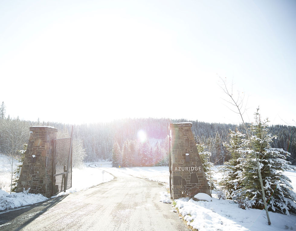 EESTUDIO-4319 (1).jpg