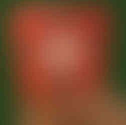 14. Final Design for Christmas card with a Robin Illustration and 'Merry Christmas' Text