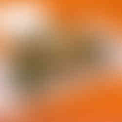 37. Folder Containing Christmas Cards