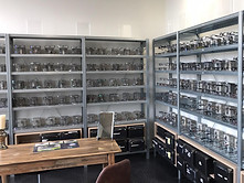 BOUTIQUE5.jpg