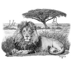 AfricanI-Lion.jpg