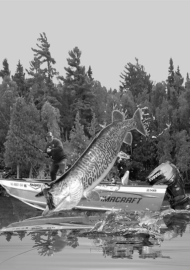 2018-Evinrude-front-art-AUG-2-B$W-2026 copy.jpg