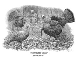 Turkey-hunt-art-2.jpg