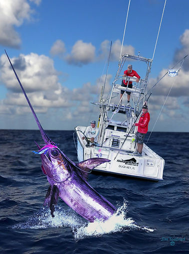 2021-Swordfish-John-art-10-finished copy.jpg