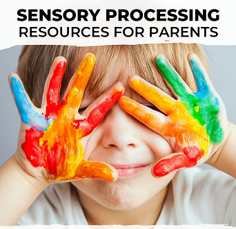 Pediatric occupational therapy session in Sonoma County, sensory processing