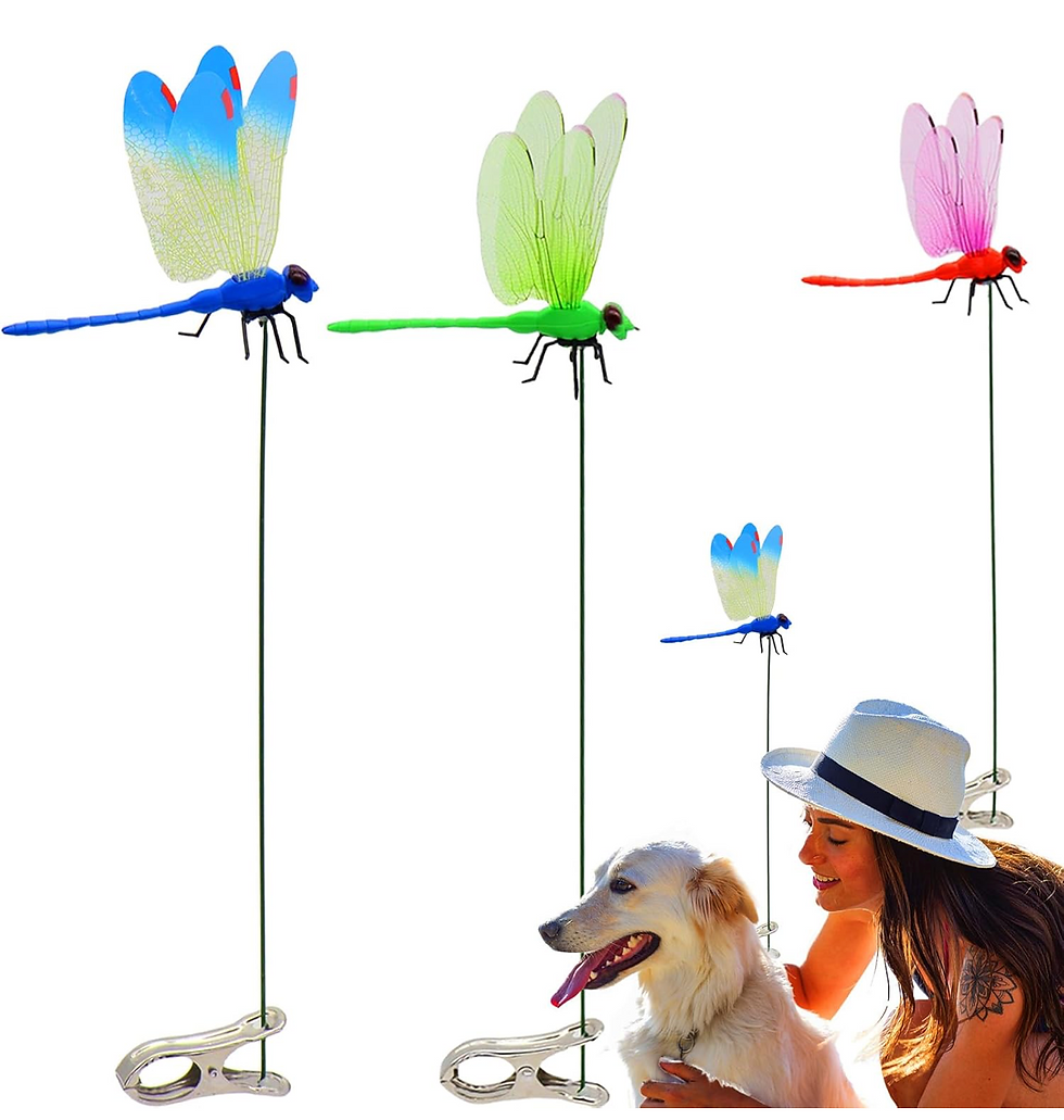 Dragonfly Decoys