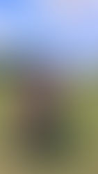 Around The World With Samantha