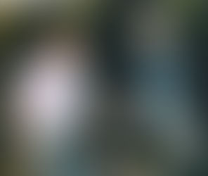 People With Disabilities And Sex