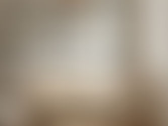 Wallpaper of vintage short haired german pointers in hunting and fishing gear