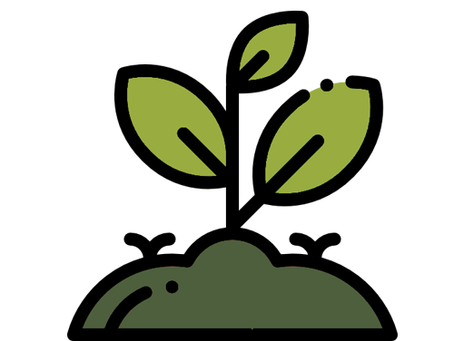 Belastingvoordeel bij steun aan het voedselbos