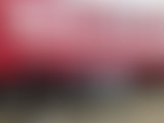 Vi har hatt et storfint besøk