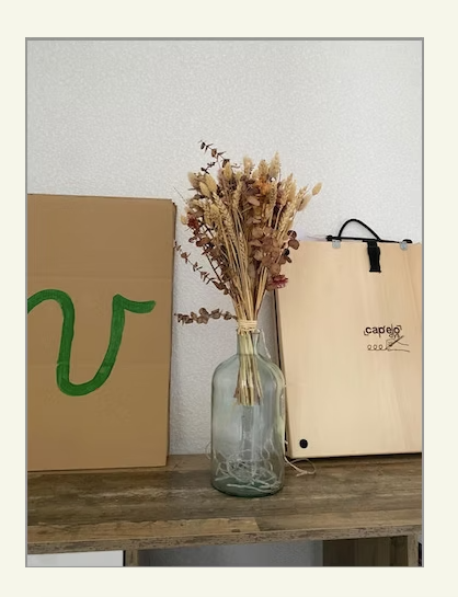 Capture d’écran 2025-11-15 à 09.25.44.png