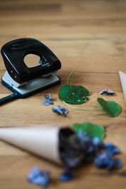 Nachhaltige Konfetti aus Blüten und Blätter