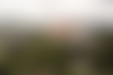 Übersicht einiger Trauungslokale im Kanton Bern