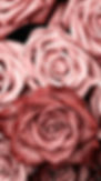 86f52310ddad5dbb8c2ef969491e3a28.jpg
