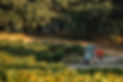 La Sèlve-22 paysage.jpg