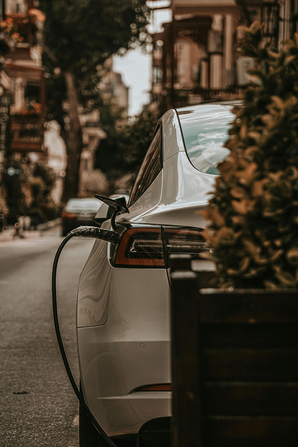 pexels-elmir-jafarov-375483362-24376862.jpg