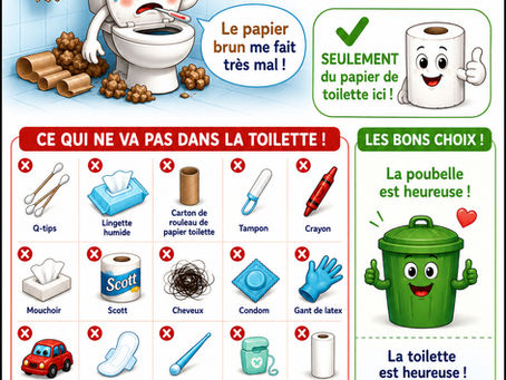 Affiche éducative montrant ce qui ne doit jamais être jeté dans la toilette pour protéger un système septique