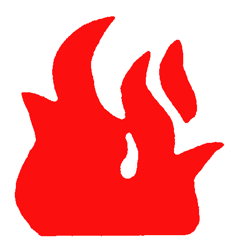 Pro Tek flame Logo