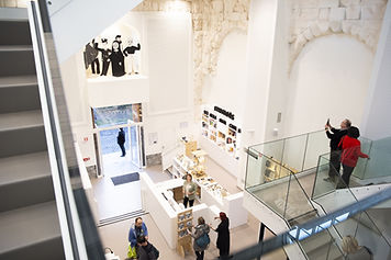 Musée de l Université de Mons.jpeg