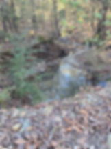 creek2