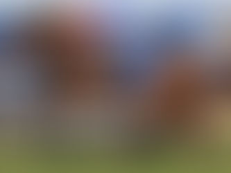 Sejardan rewards small-time breeder's bold gamble