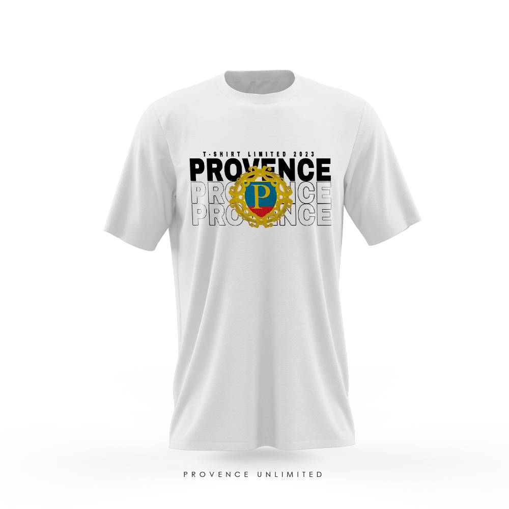 Camiseta Masculina Premium