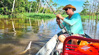 Amazonie, Itacoatiara, Lodge rio Uatumã, immersion dans la forêt tropicale, où pêcher quel séjour choisir quand partir #peacock  #bassfishing #carnassier  #peacock  #bassangler  #pêche  #amazonie  #fishingtrip  #amazon  #tucunare  pêche #amazonie  #fishingtrip  #sports #fishingvideo  #pêche   #tucunare  #peacockbass  #adventure  #catch   #fishingbrazil  #exoticfishes  #eldorado   #brésil #fishingislife  #bigfish  #bigfishingvideo #bigfishgames  #guide