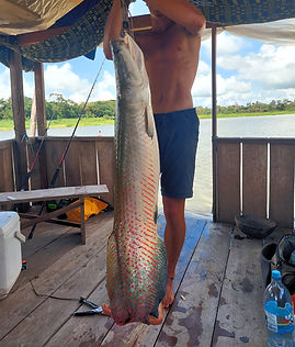 Eldorado Pêche Amazonie