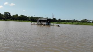 ELDORADO PÊCHE AMAZONIE. fluctuante ou maison sur l'eau
