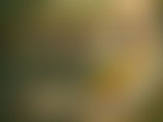 PLONGER DANS L'AVENTURE :         PARTICIPEZ AUX COMPÉTITIONS DU PEACOCK-BASS EN AMAZONIE                     BRÉSILIENNE AVEC ELDORADO PÊCHE AMAZONIE