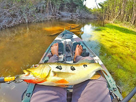 Eldorado Pêche Amazonie