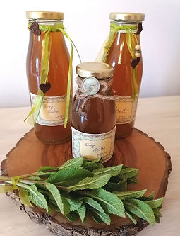 Sirops aux plantes sauvages