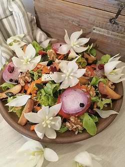 Salade sauvage de saison version Yucca