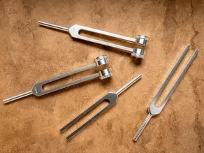 différents diapason lestés ou non