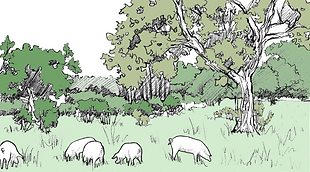 colorisation_1 (1).png