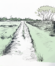 colorisation_2 (1).png