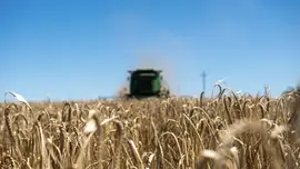 La productividad de la agricultura en Uruguay