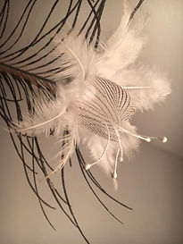 fleur plumes blanche.jpg