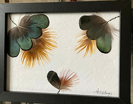 cadre plumes fleur corolle .jpeg