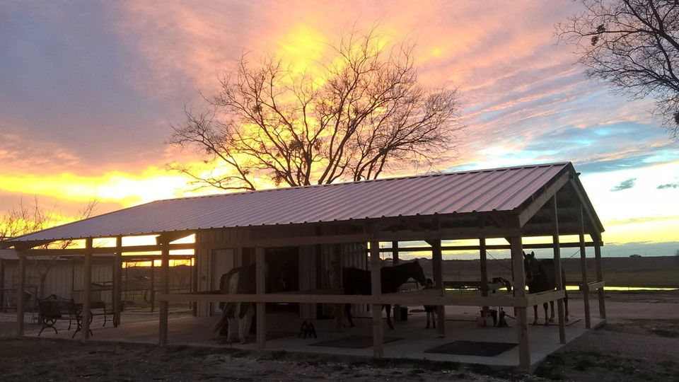 Top notch boarding & care for your horse at SunCrest Farm.