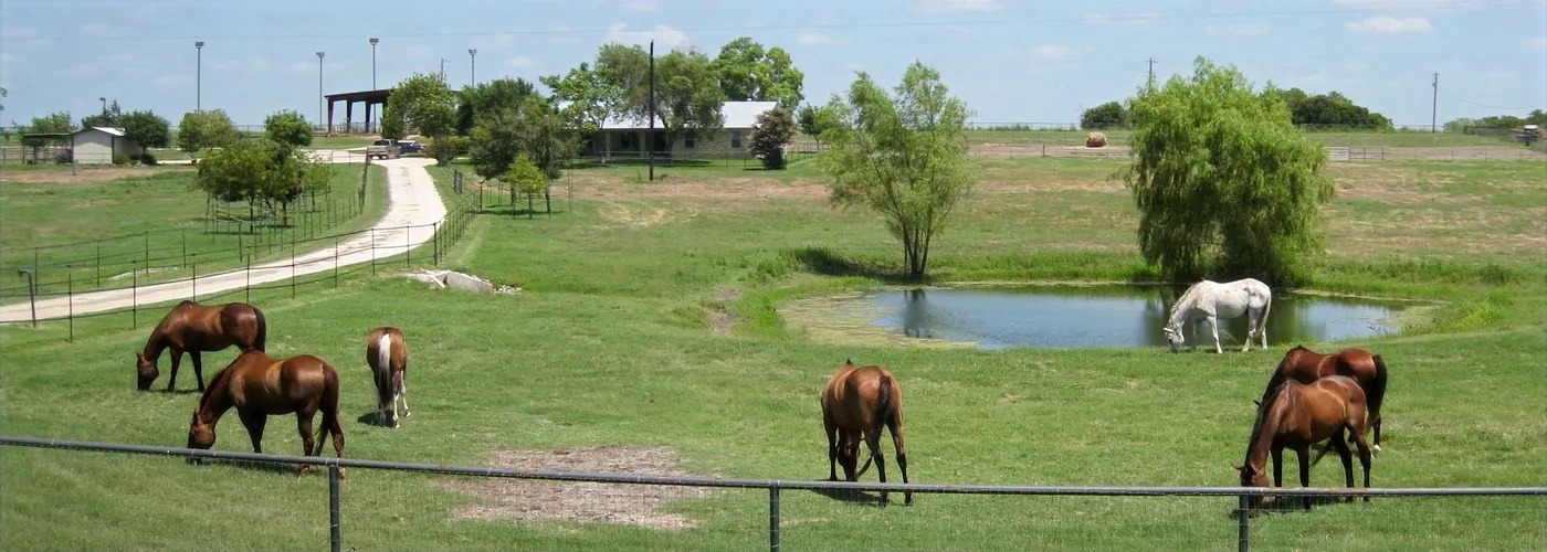 SunCrest Farm