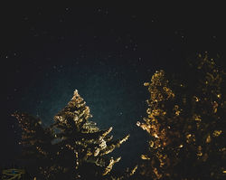 ©IMPLICIT IMAGERY