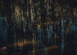 ©IMPLICIT IMAGERY