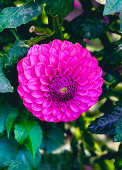 ©IMPLICIT IMAGERY
